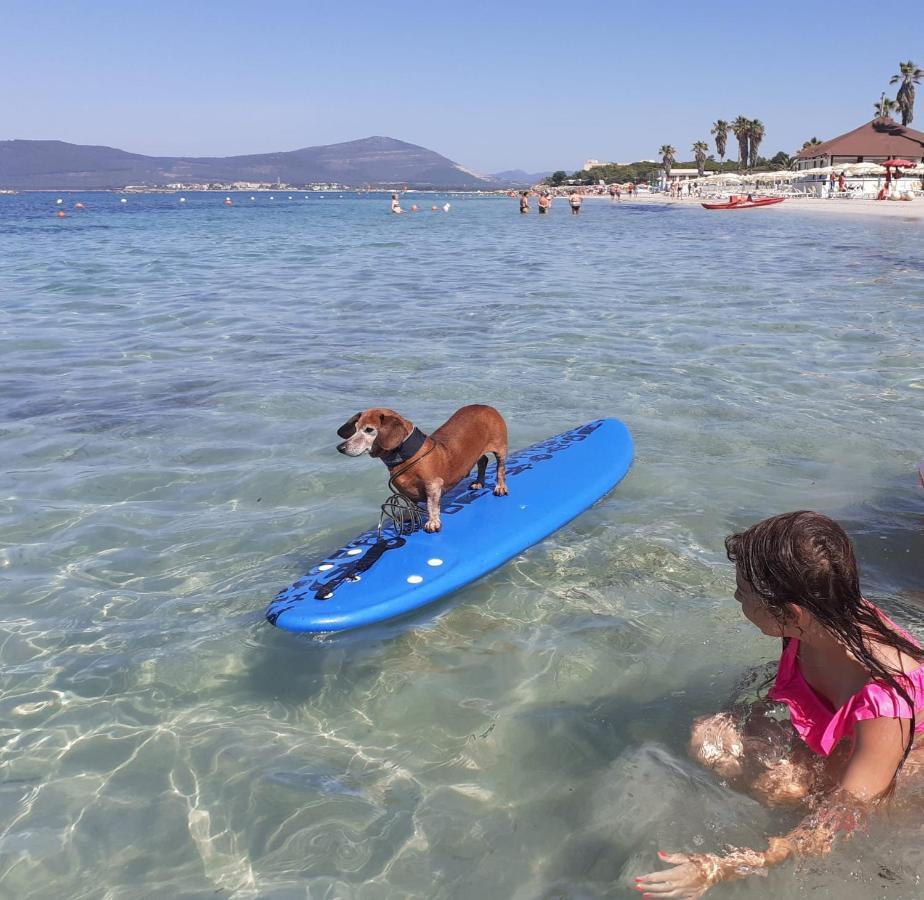 Alghero Lido Monolocale Leilighet Eksteriør bilde